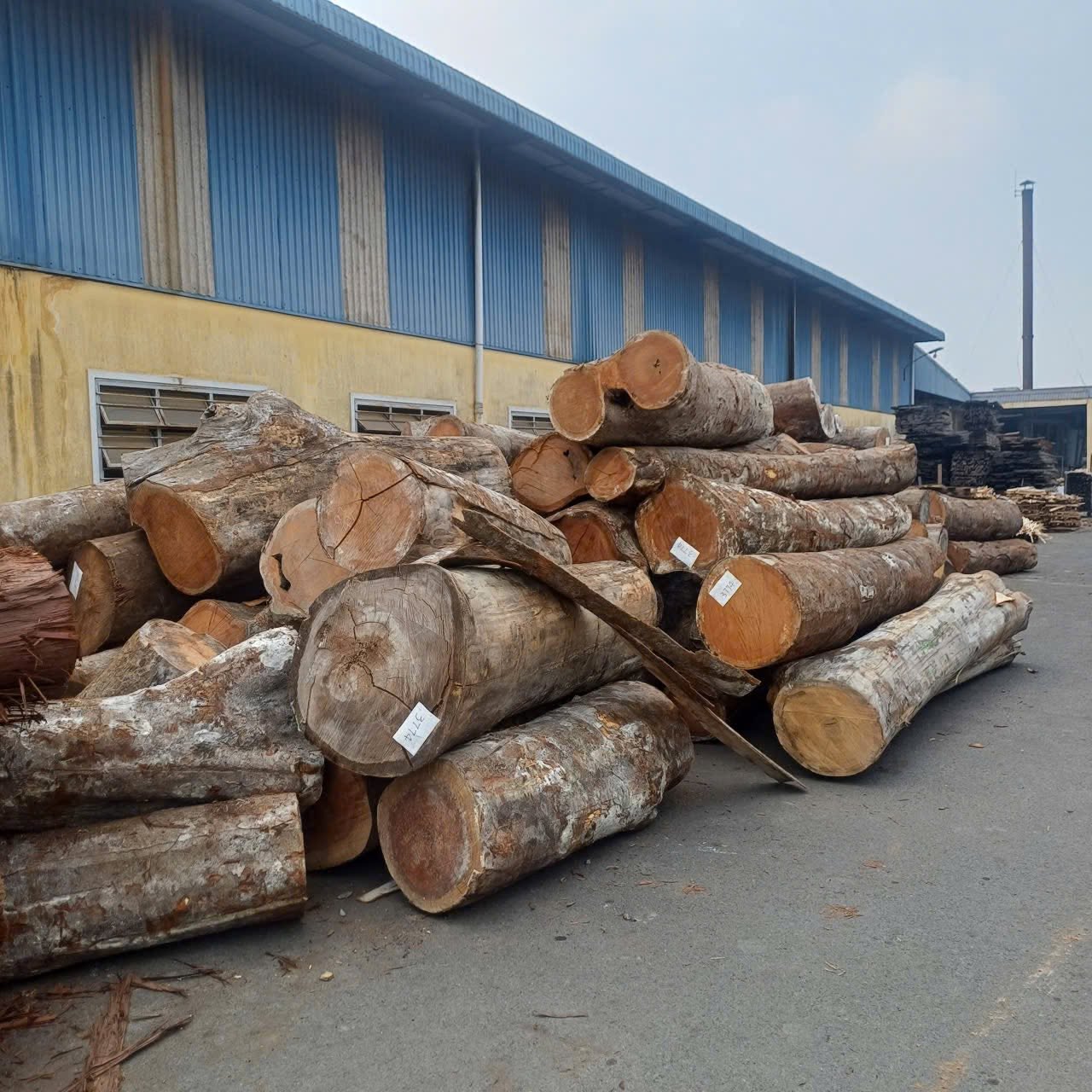 TNP factory — Hinoki planks being precision-milled in the Biên Hòa workshop